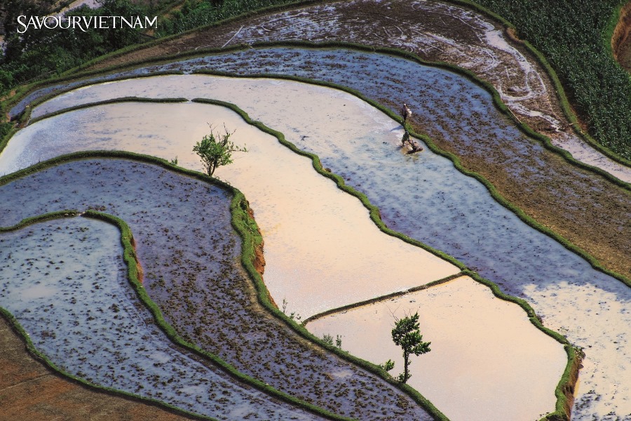 NHỮNG CUNG ĐƯỜNG MÙA XUÂN